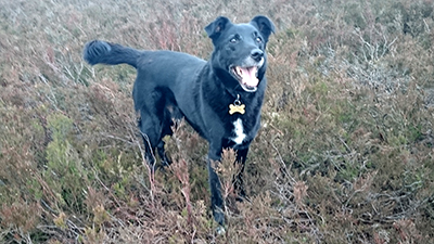 February 2016 Photo 5